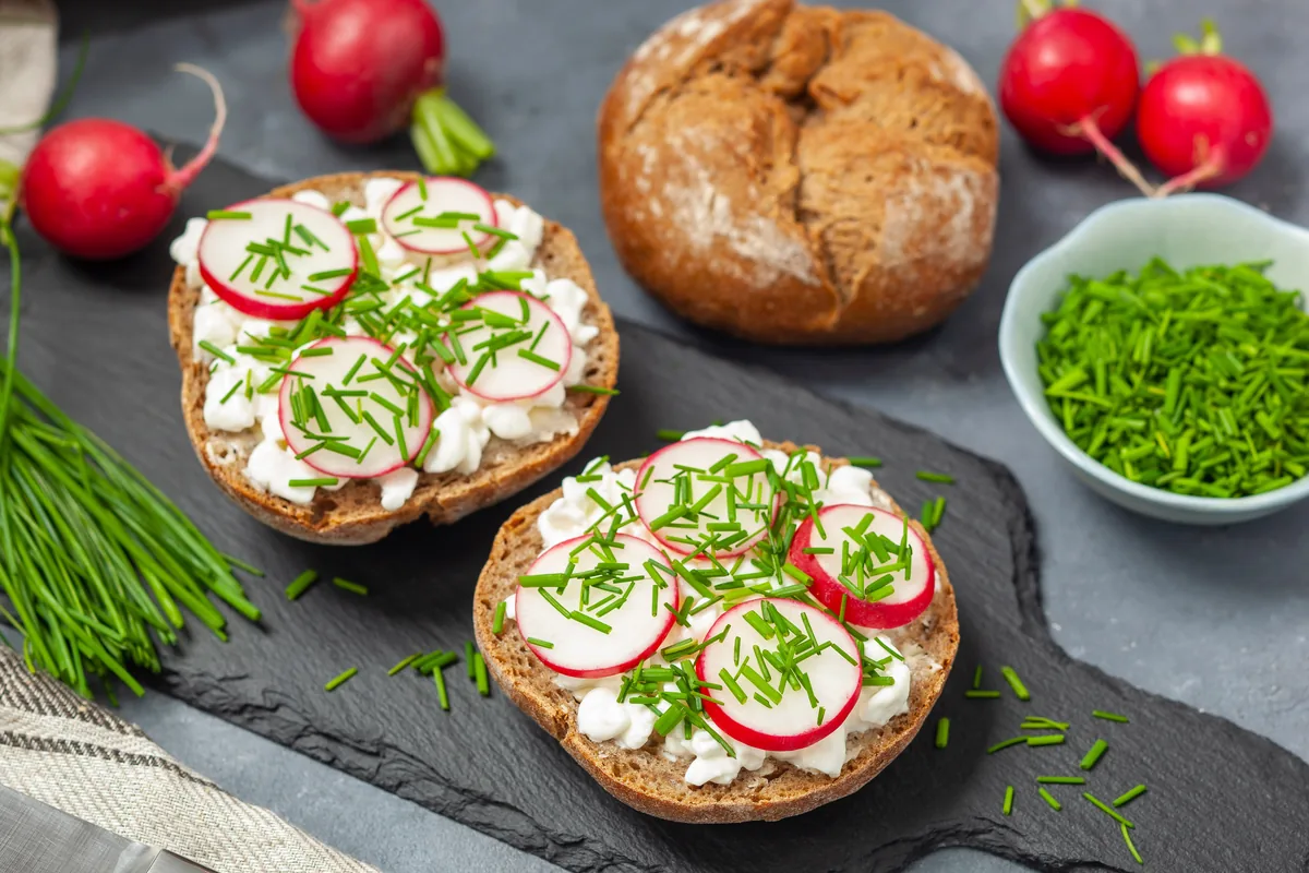 Vollkornbrot mit Hüttenkäse und Radieschen